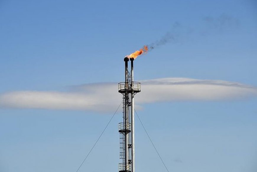 Güneydoğu Asya Ülkesi Rus Enerji Kaynaklarına İlgi Gösterdi